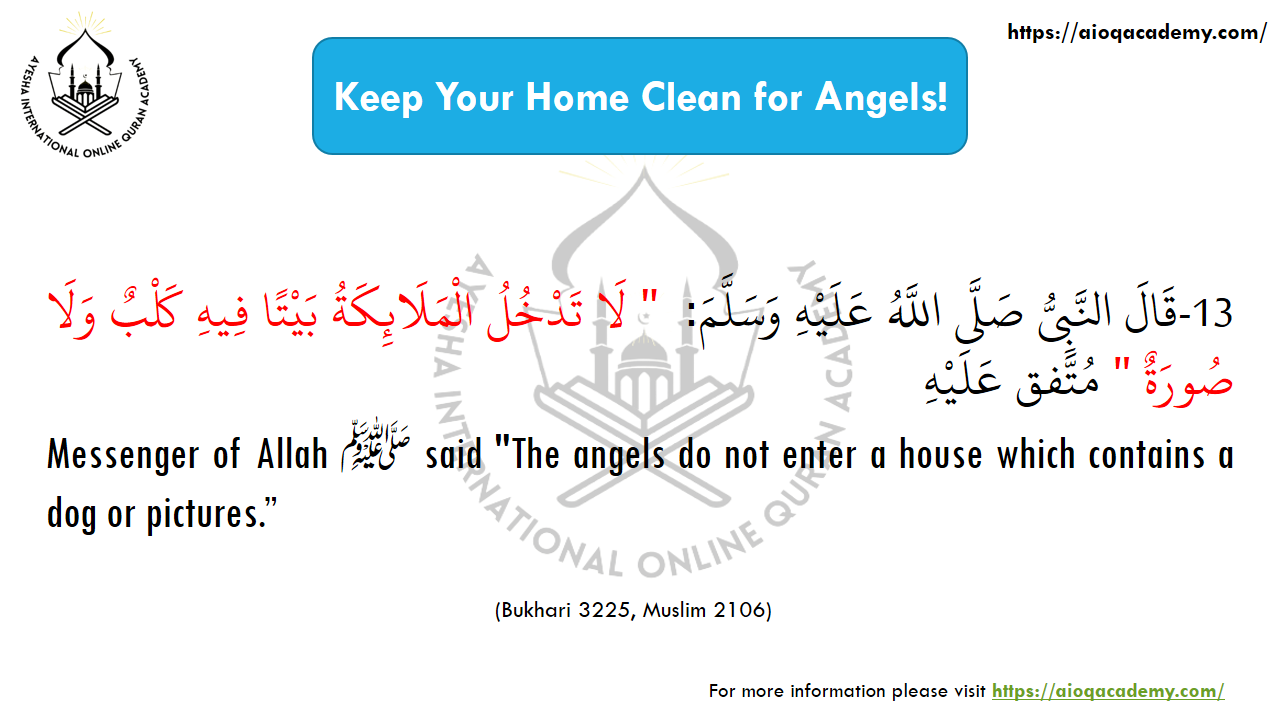 Hadith 13: Angels and the Home — Arabic text and source reference